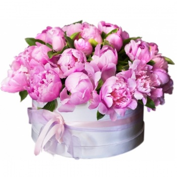 Букет из пионов в коробке "Венеция"